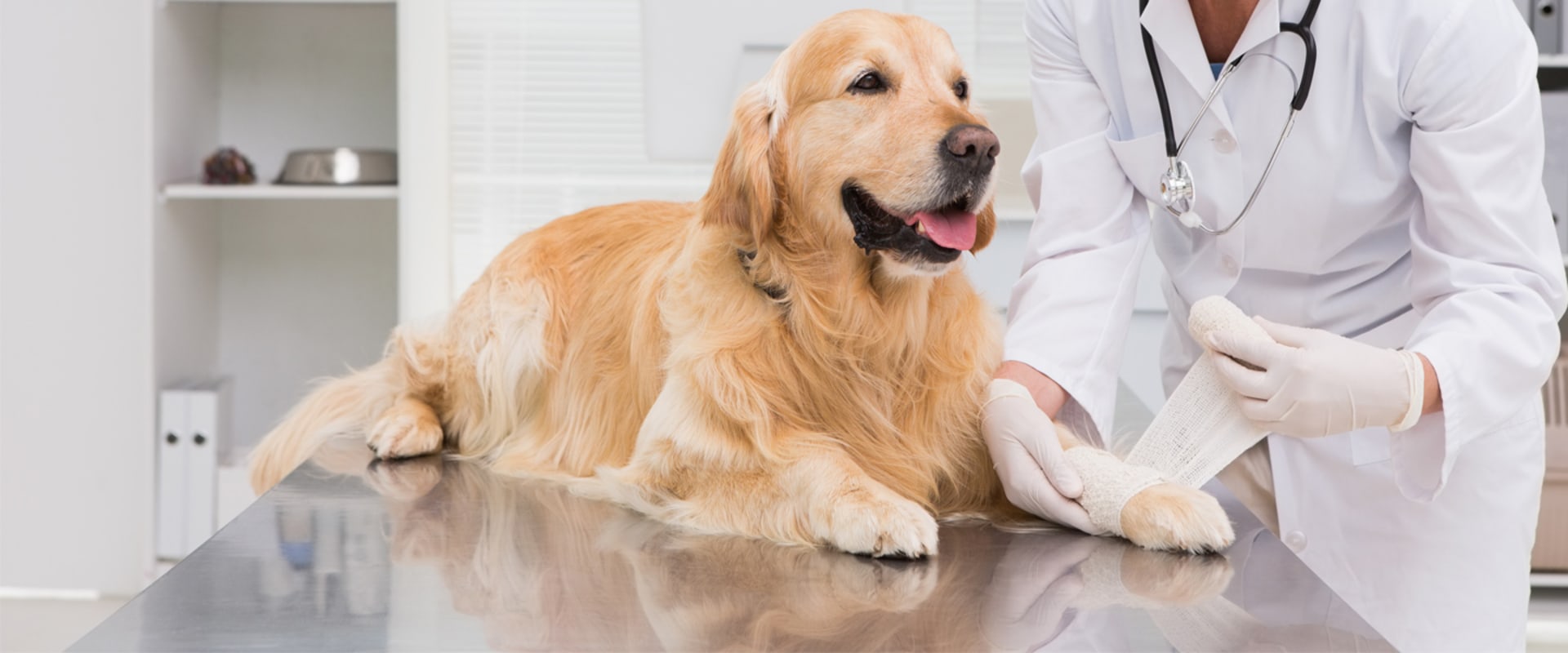The Importance of Proper Wound Management: A Guide from a Wound Care Expert